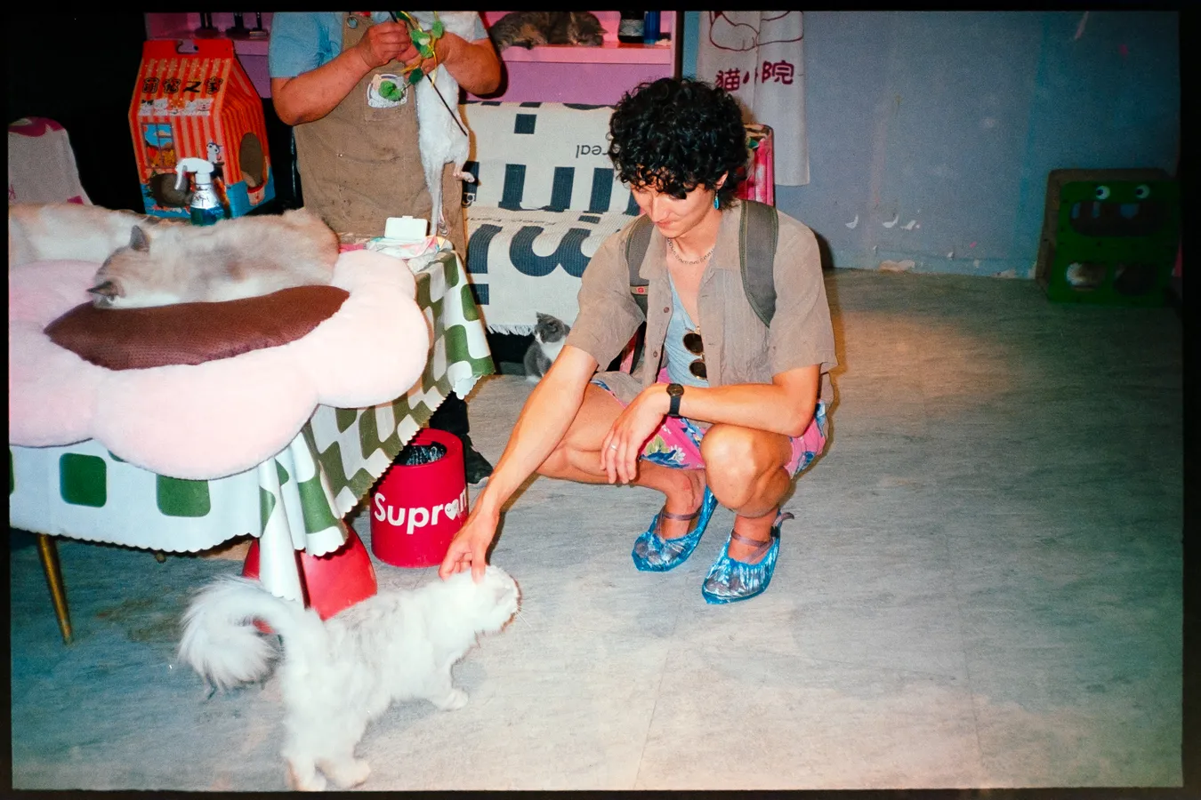 Chris at the cat cafe, 2024