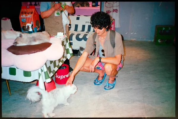 Chris at the cat cafe, 2024